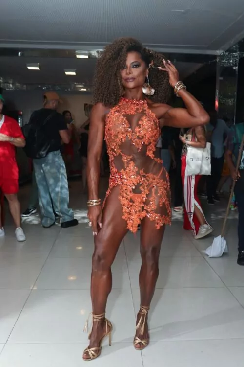 Cariúcha prestigia aniversário de Adriana Bombom – OFuxico Virginia bate ponto em mais um ensaio da Grande Rio – OFuxico