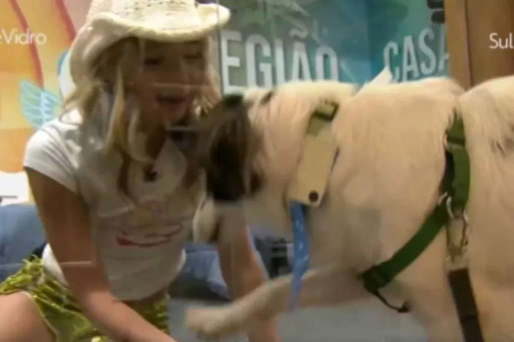 BBB 26: Doguinho de 3 patas de Samira emociona em visita – OFuxico